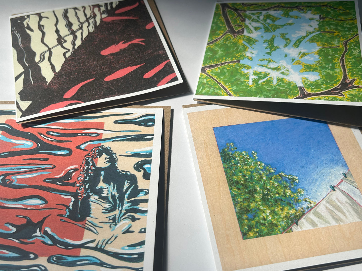 Window Series Note Cards Multipack ~ Illustrated by Charlie Collins