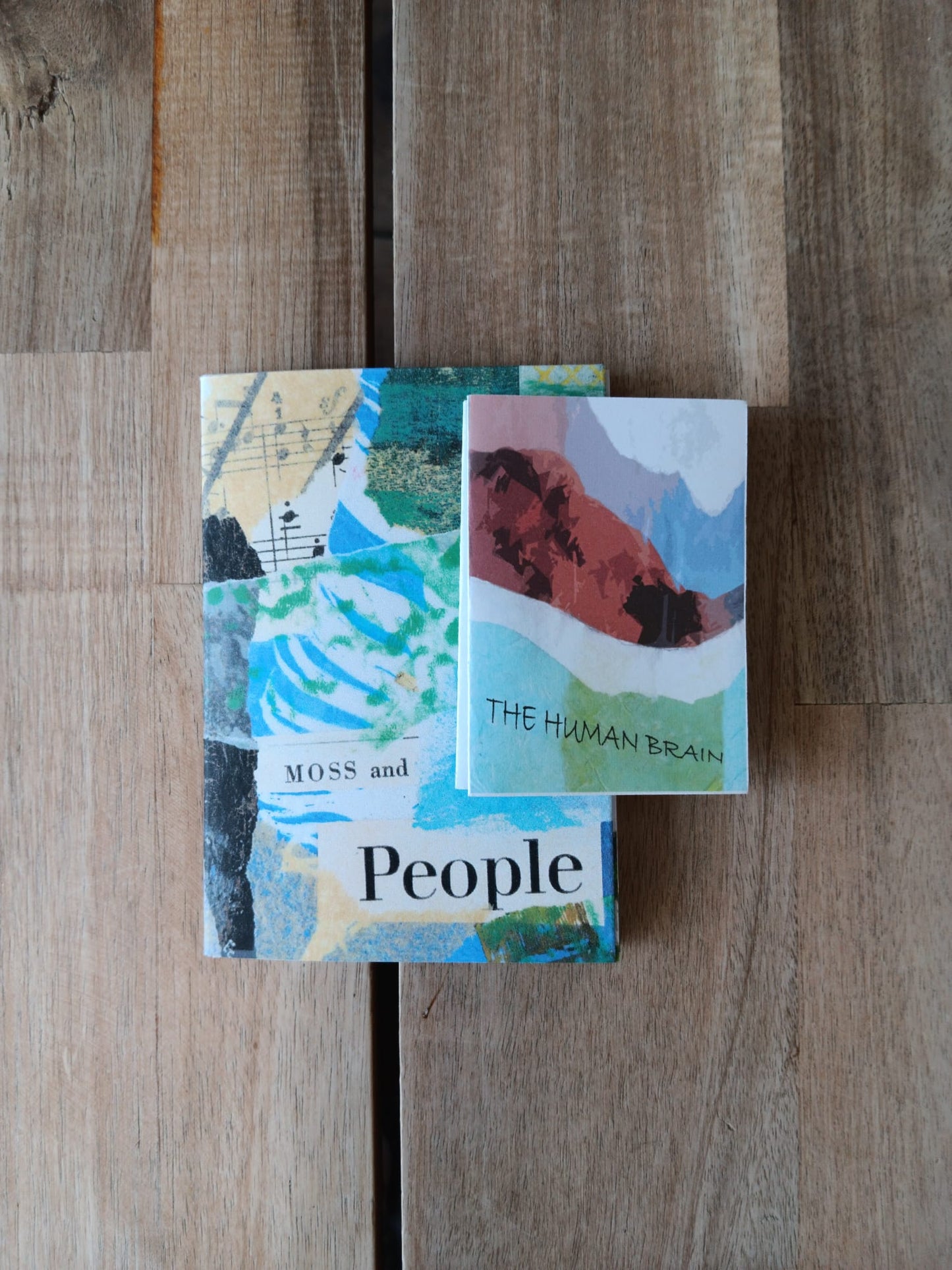 Zine Bundle - Moss & People and Human Brain