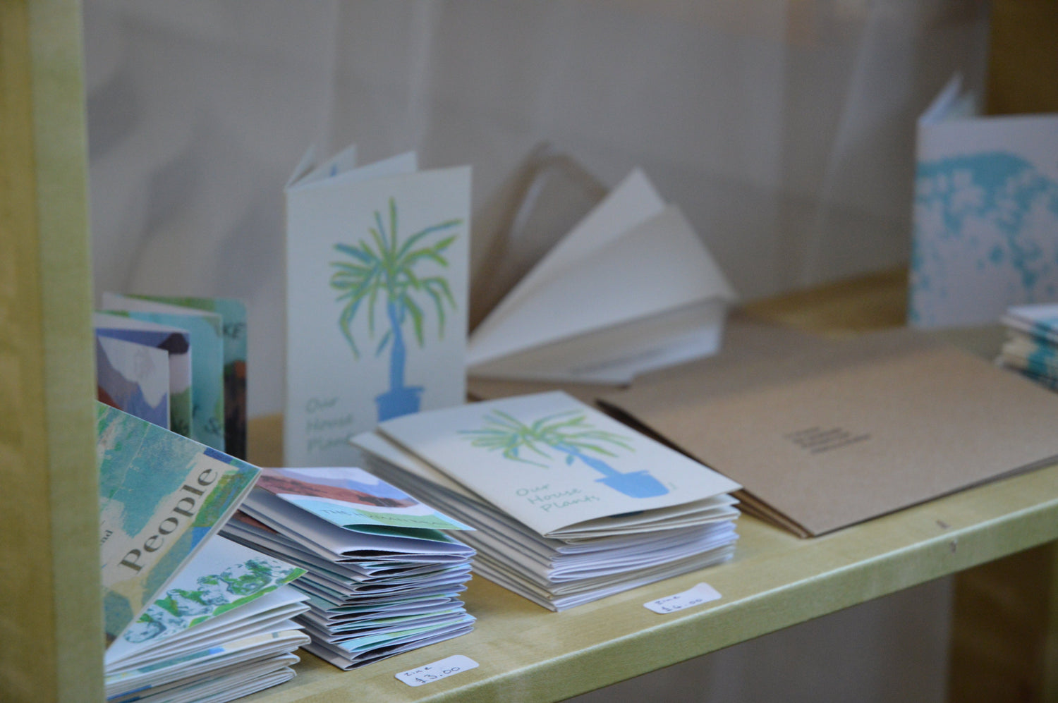 Zines and Artist Books