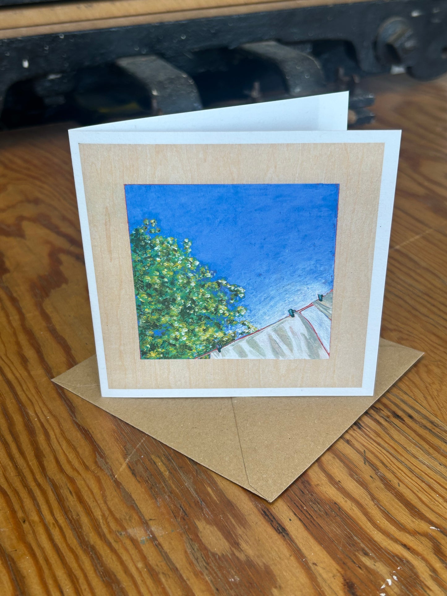 Window Series Note Cards Multipack ~ Illustrated by Charlie Collins
