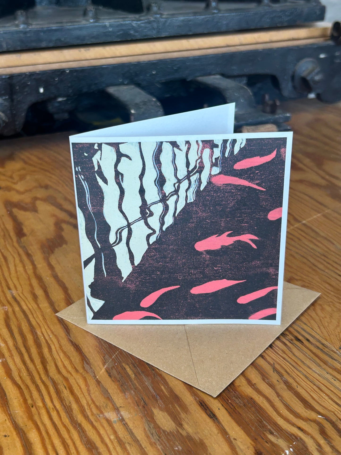 Window Series Note Cards Multipack ~ Illustrated by Charlie Collins