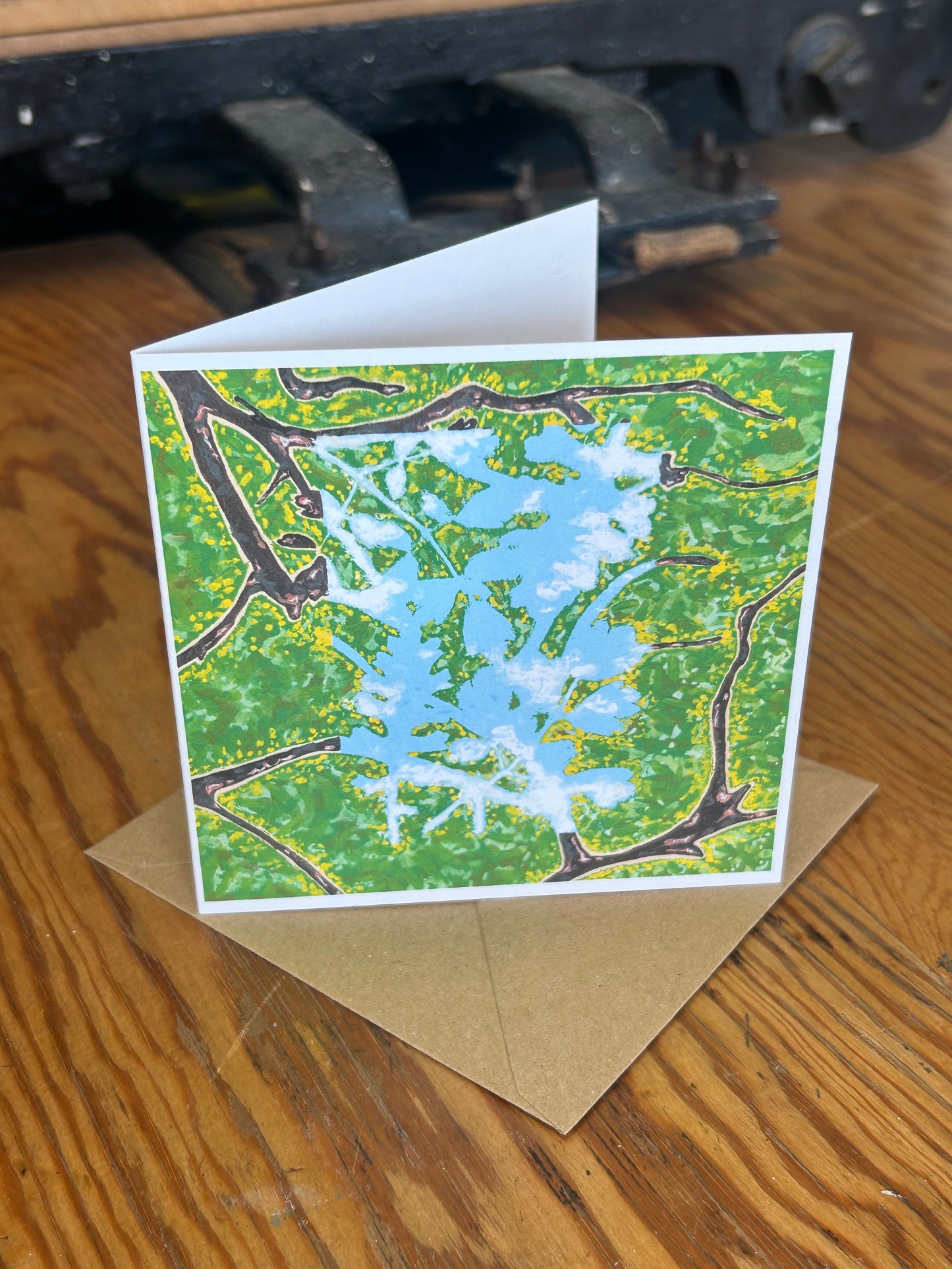 Window Series Note Cards Multipack ~ Illustrated by Charlie Collins