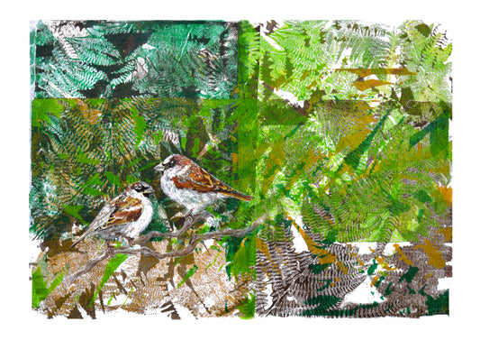 'House Sparrows' - Print from original artwork by Mandy Collins and Charlie Collins - A5 and A4 mounted or unmounted