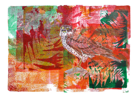 'Sparrowhawk' - Print from original artwork by Mandy Collins and Charlie Collins - A5 and A4 mounted or unmounted