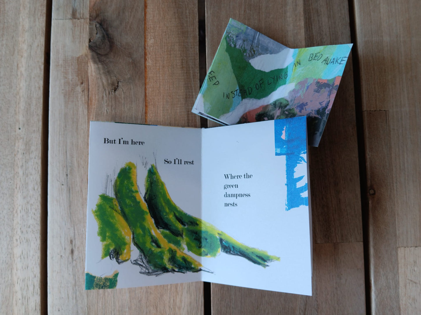 Zine Bundle - Moss & People and Human Brain
